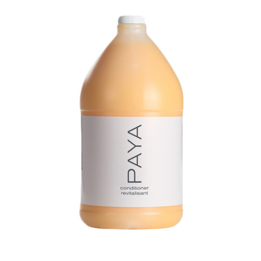 PAYA Organics Conditioner – Nourishing and Eco-Friendly Haircare