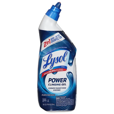 Lysol Professional Disinfectant Toilet Bowl Cleaner, Wintergreen, 32 Oz – Powerful Germ-Killing Action