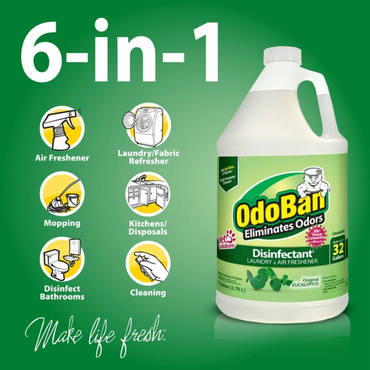 OdoBan Disinfectant & Odor Eliminator, Eucalyptus Scent (1 gal. concentrate + 32 oz)