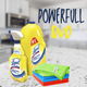 The Ultimate Cleaning Combo: Lysol All-Purpose Cleaner Bundled with NikCatcher Microfiber Cloths