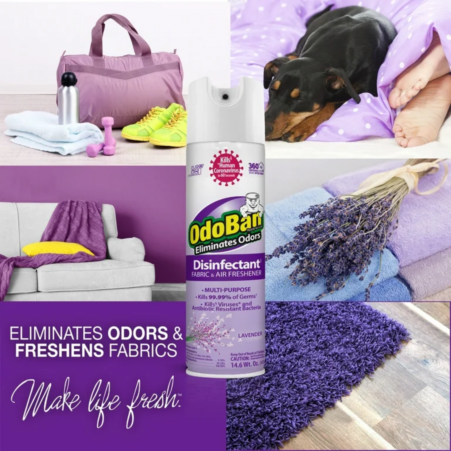 OdoBan Lavender Aerosol Disinfectant & Fabric/Air Freshener, 14.6 oz